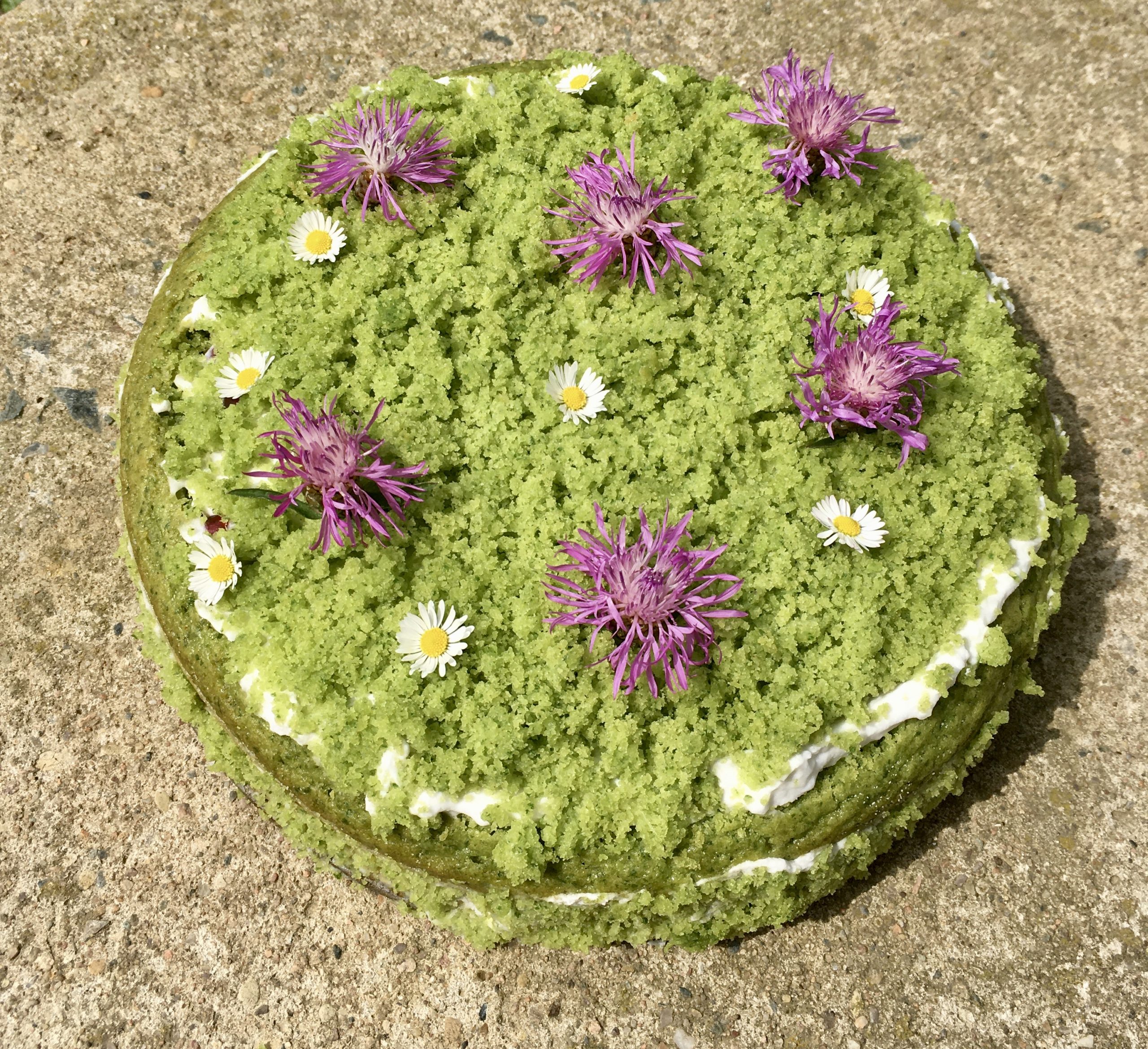 Veganský mechový dort se svou zářivě zelenou barvou ze špenátu